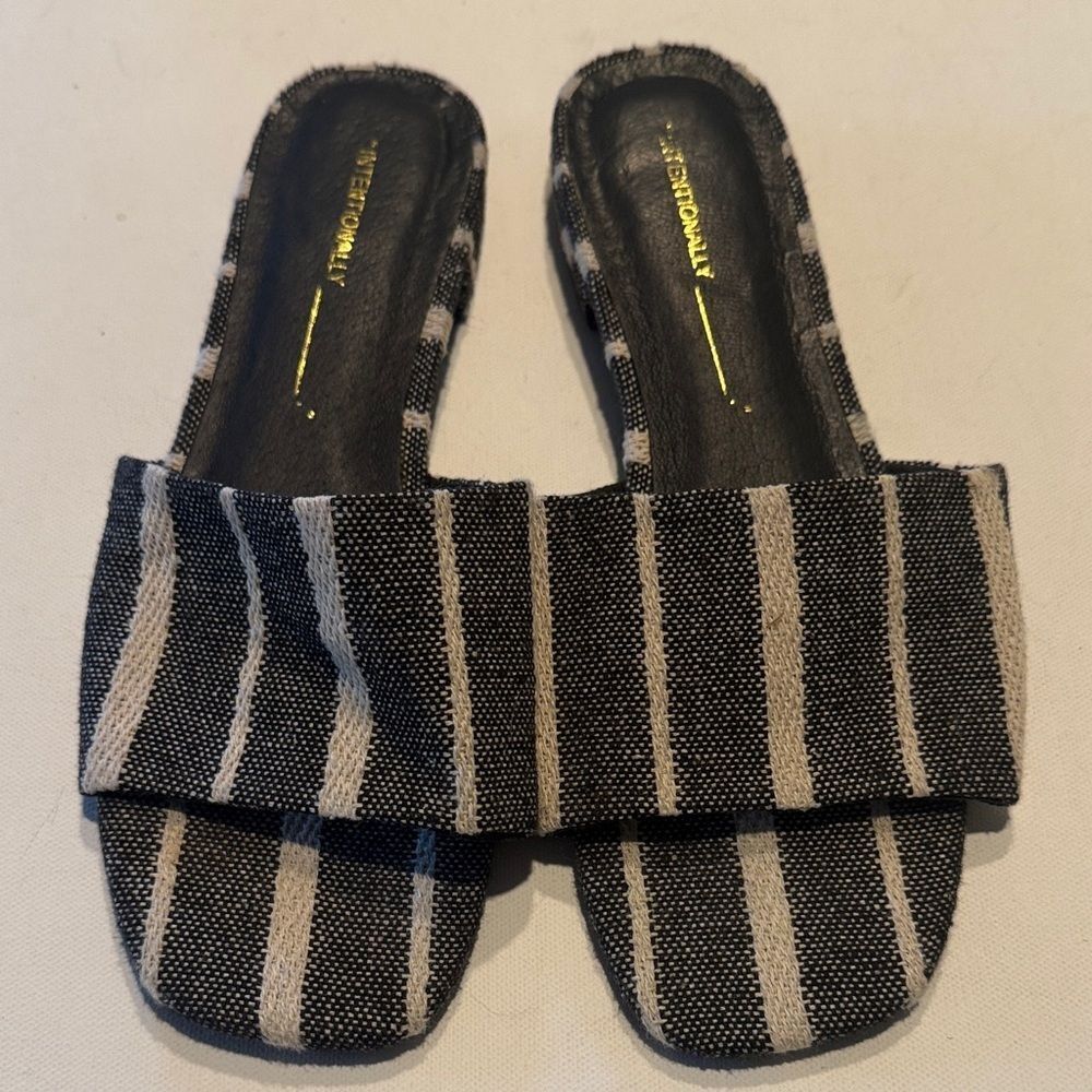 INTENTIONALLY BLANK Monochrome Striped Slides
